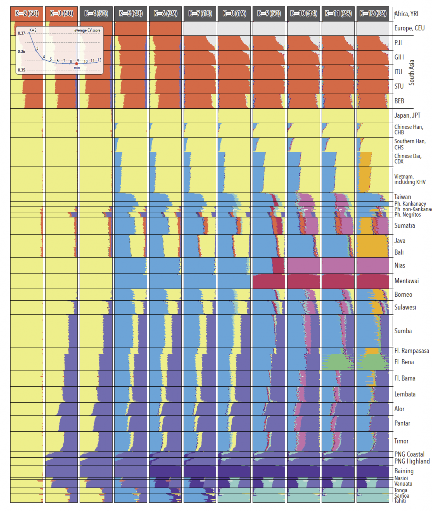 austronesian-admixture