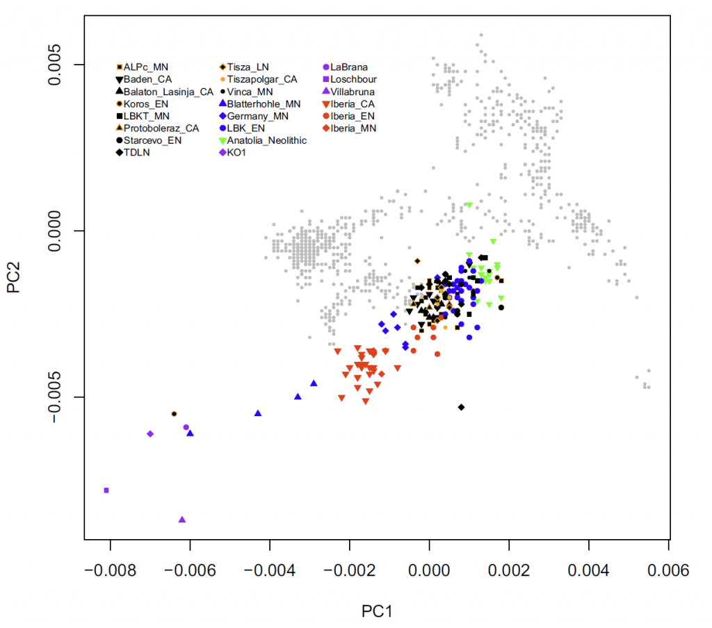 mesolithic-neolithic-PCA