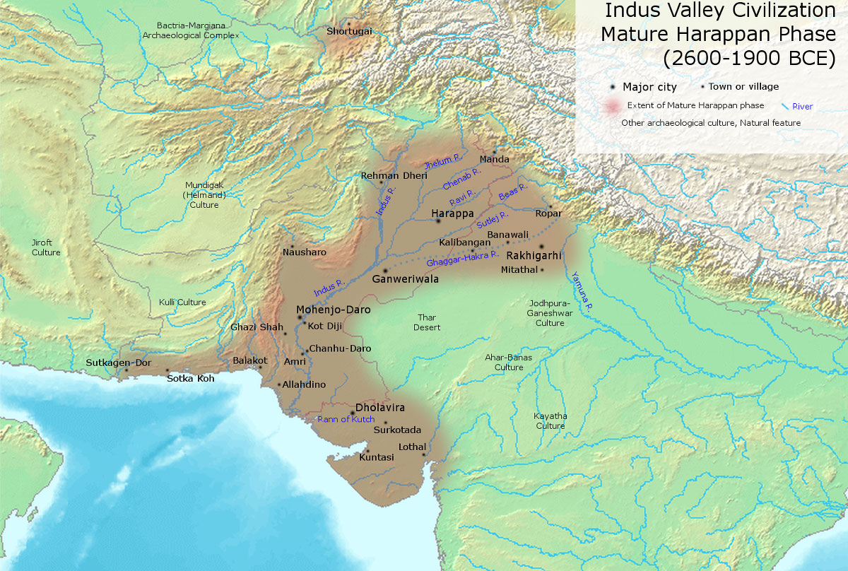 Archaeological and anthropological studies on the Harappan cemetery of