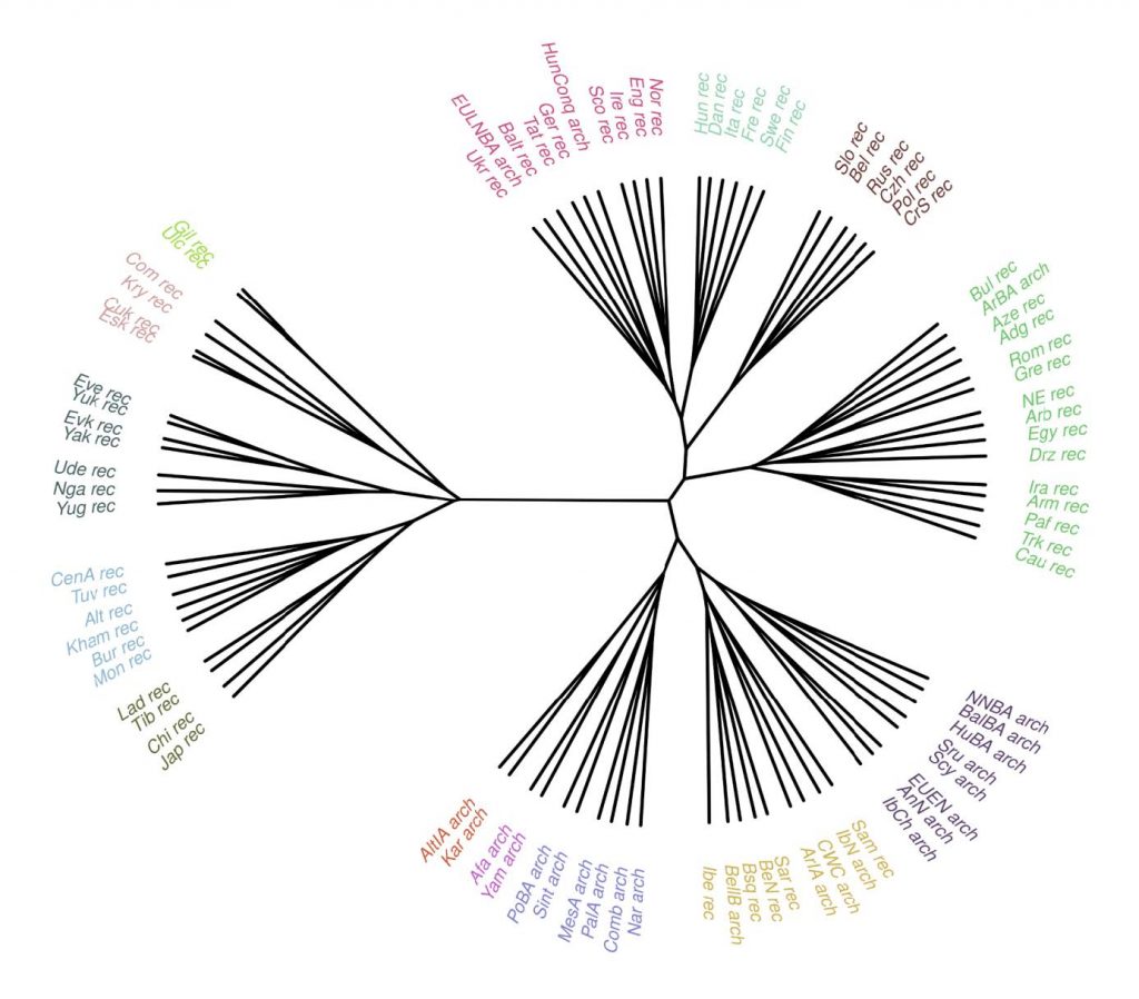 hungarian-hierarchic-cluster