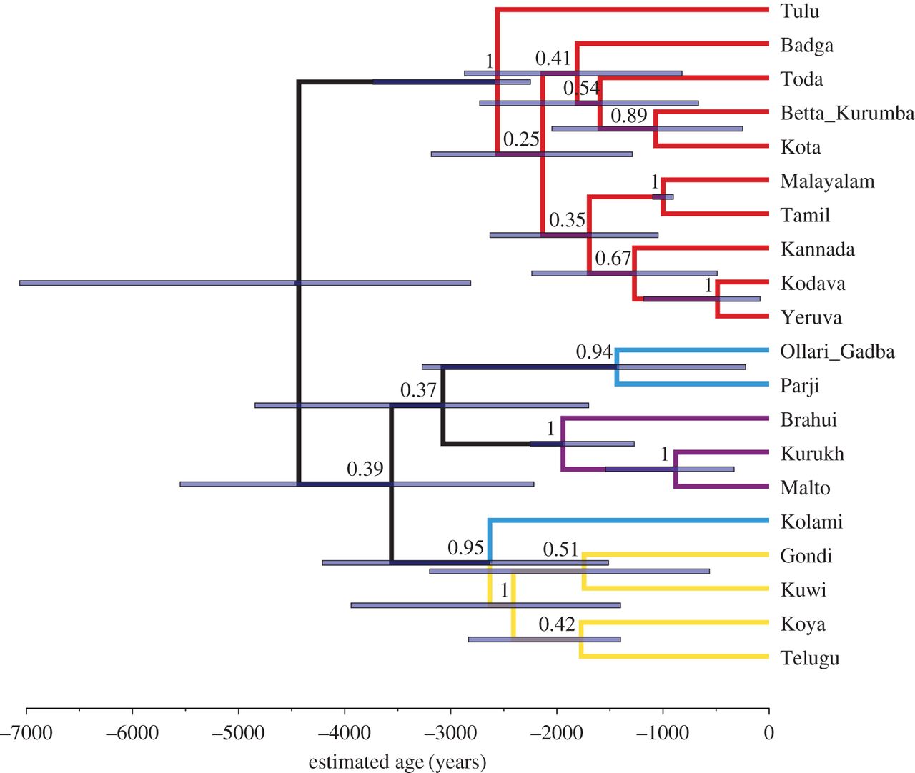 dravidian-phylogenetic-tree