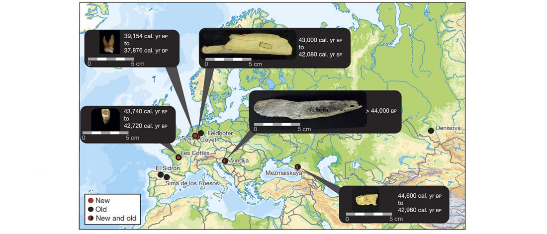 neanderthal-late-europe