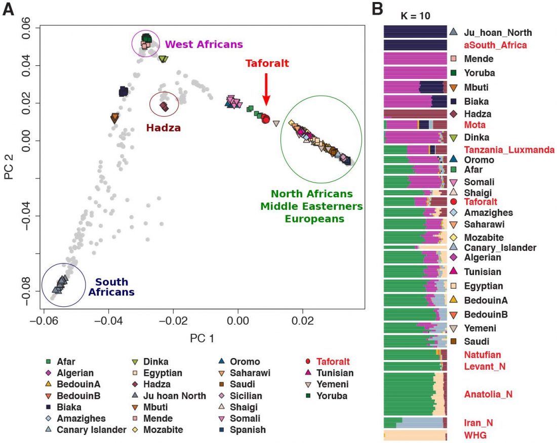 Pleistocene North African Genomes Link Near Eastern And Sub-Saharan ...