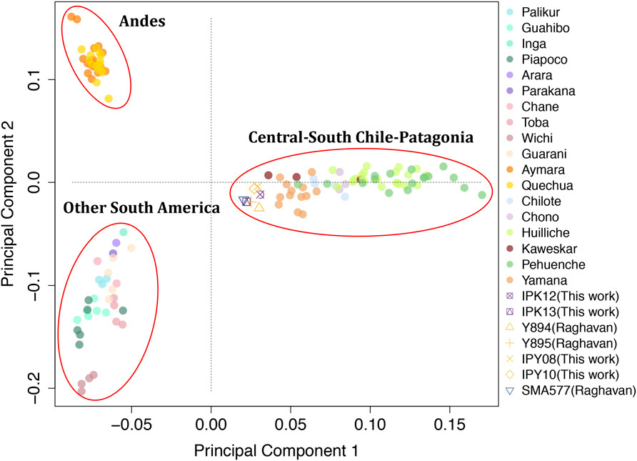 pca-ancient-south-american