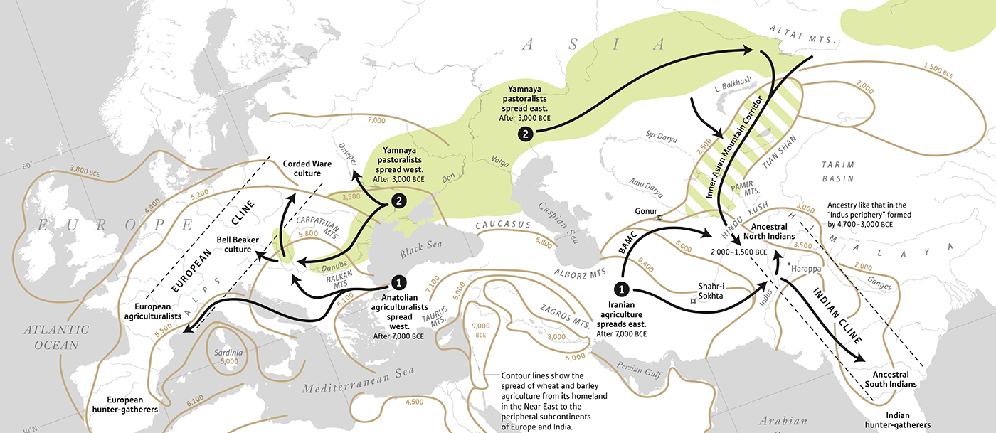 Early Indo Iranian Formed Mainly By R1b Z2103 And R1a Z93 Corded Ware   Yamna Expansion Reich 