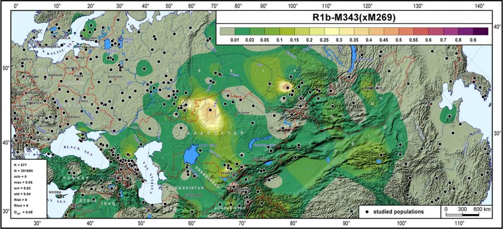 y-haplogroup-r1b-p343