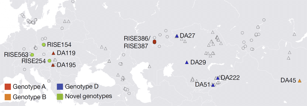 hbv-genotypes-eurasia