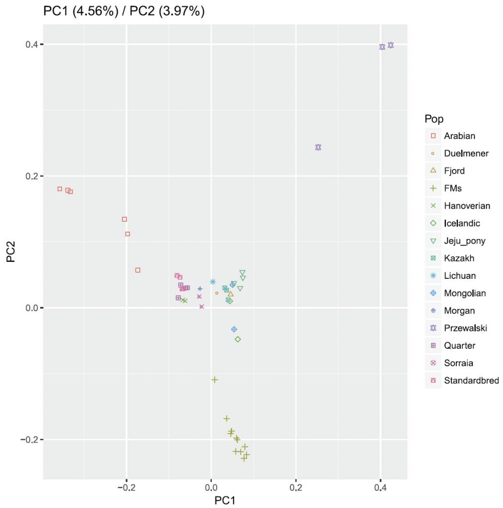 horse-pca