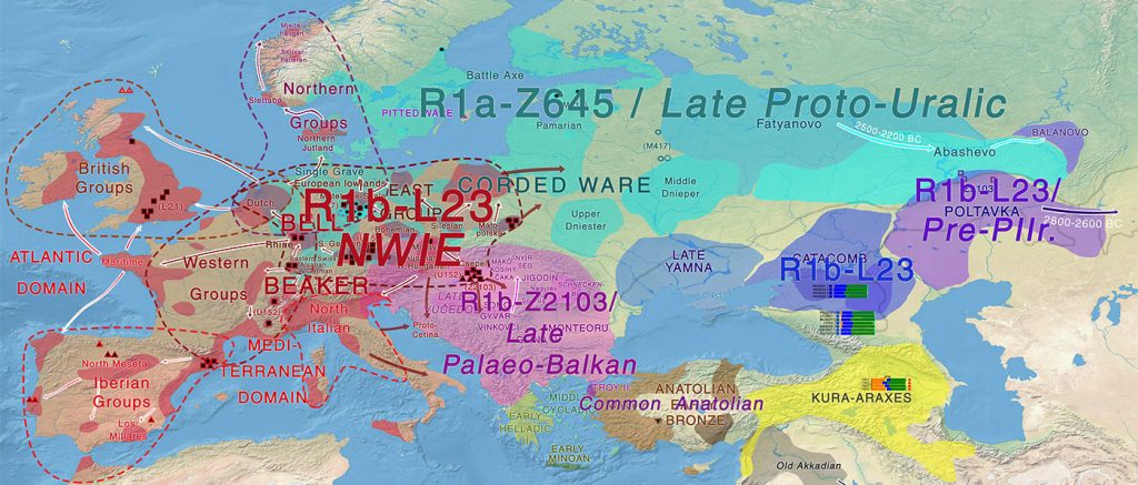 indo-european-uralic-bell-beaker-corded-ware-migrations