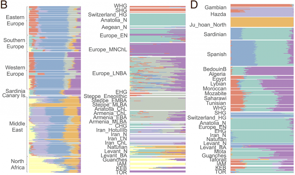 north-africa-iberia-admixture