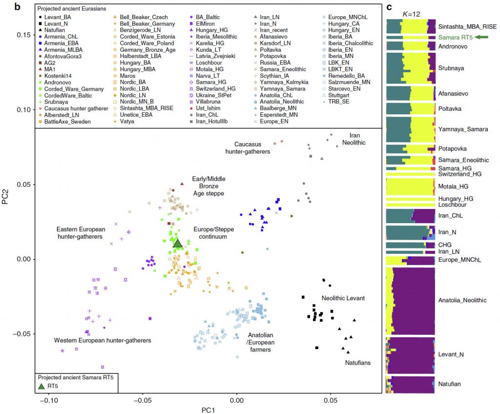 dfind old genome assemblies