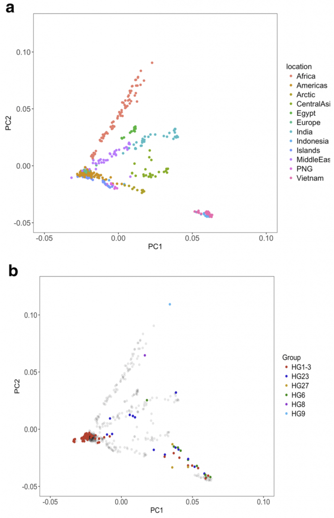 y-chromosome-admixture-dogs