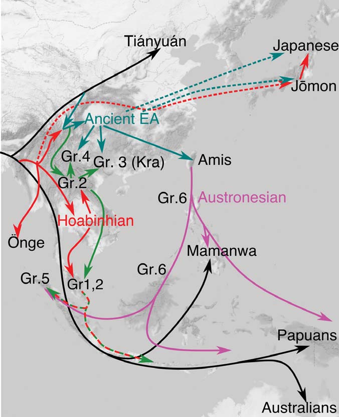 samples of asia