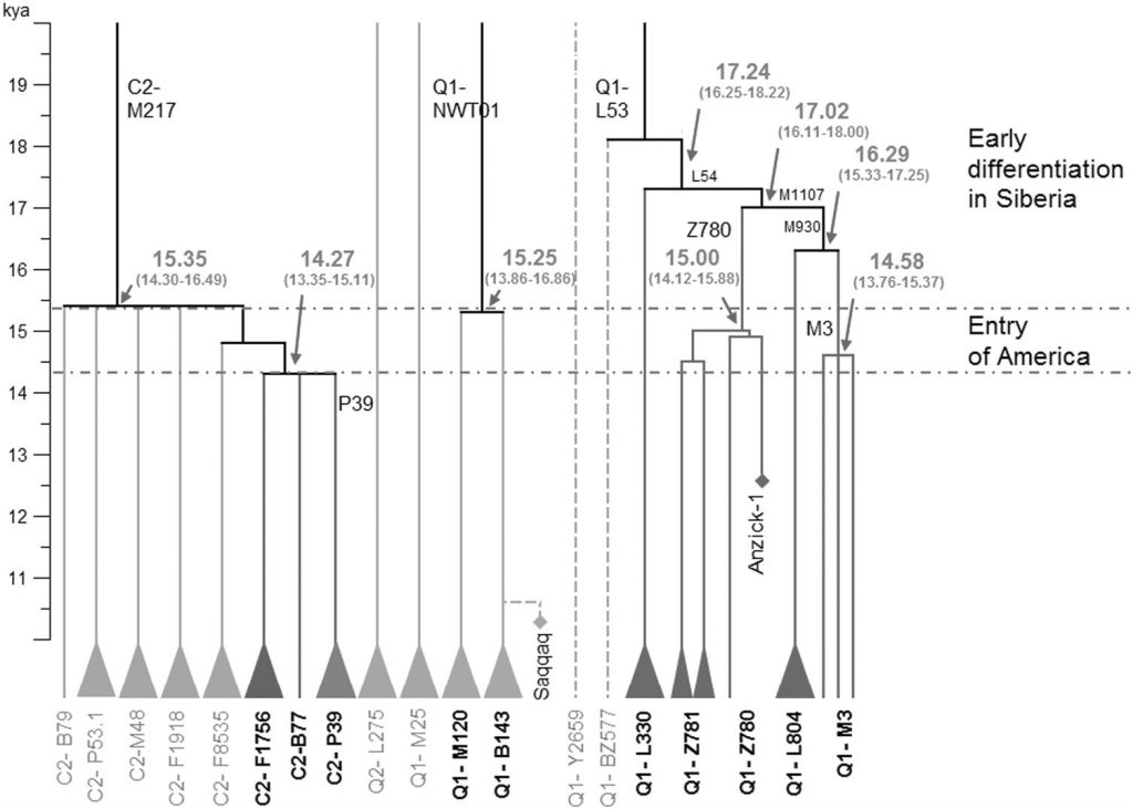 y-dna-q-siberia