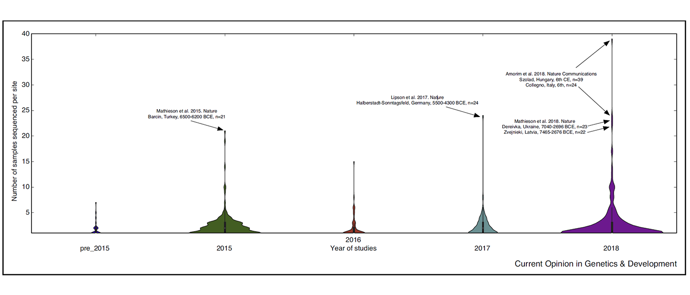 The importance of fine-scale studies for integrating palaeogenomics and archaeology