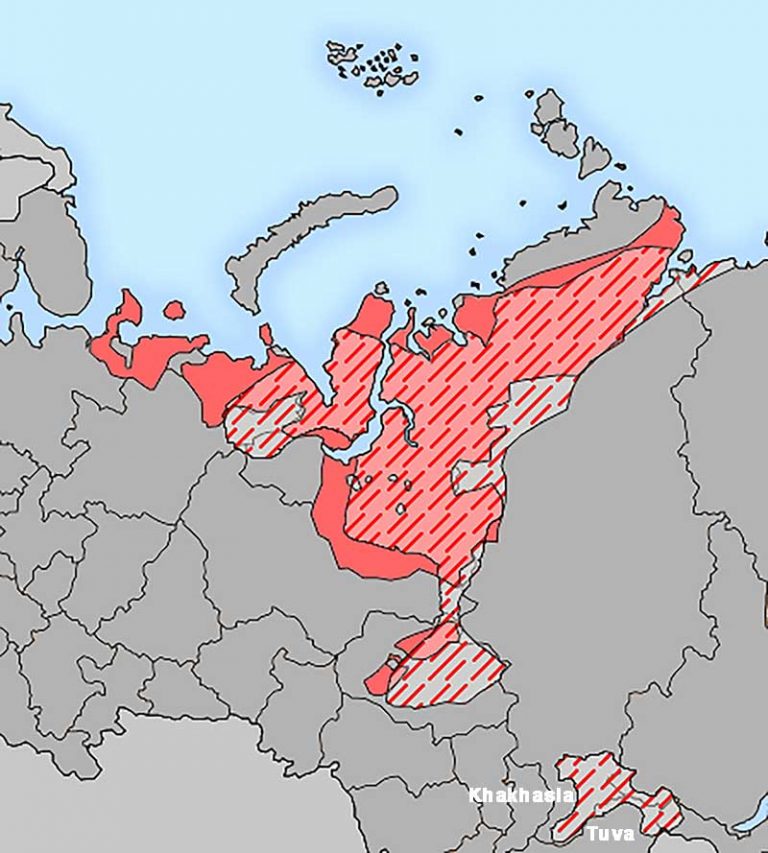 Где проживают ненцы карта