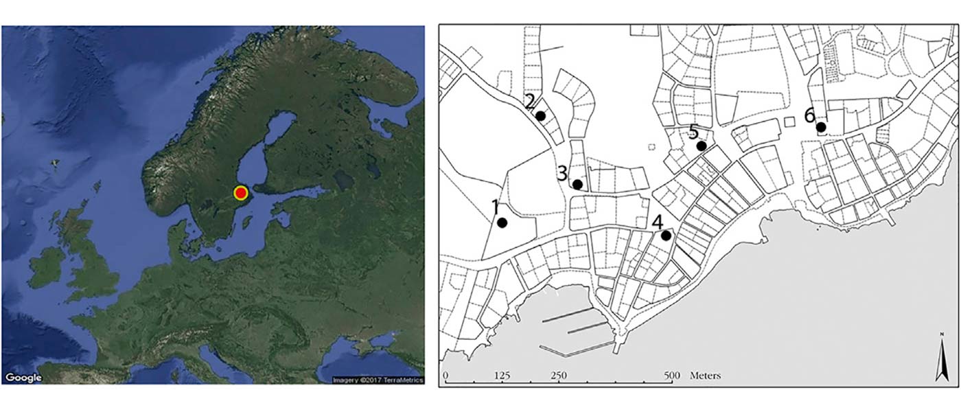 Viking Age town shows higher genetic diversity than Neolithic and Bronze Age