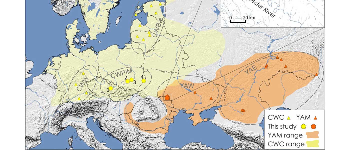 Mitogenomes show likely origin of elevated steppe ancestry in neighbouring Corded Ware groups