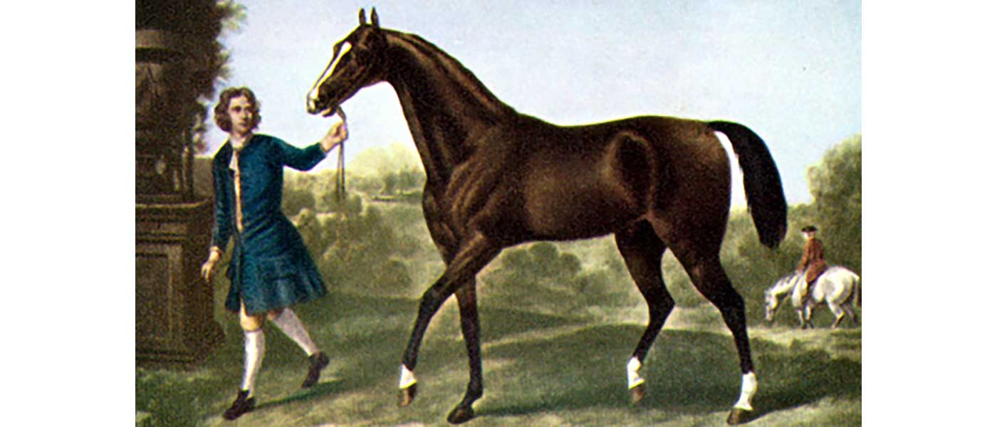 Mitogenomes suggest rapid expansion of domesticated horse before 3500