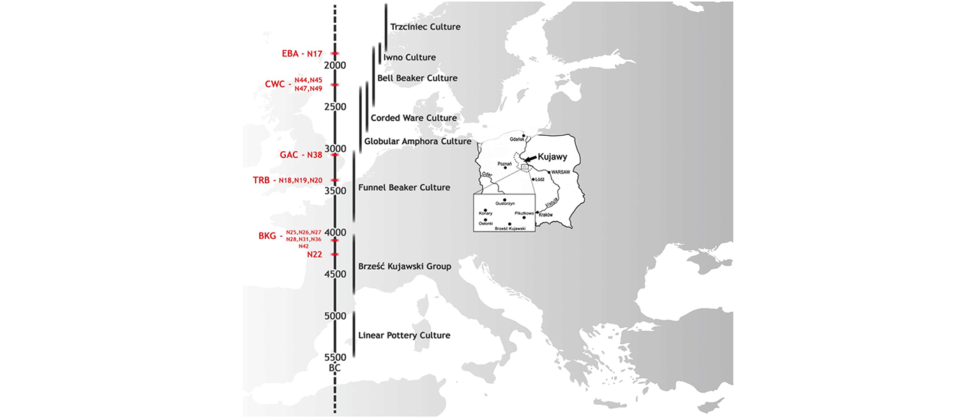 Resurge of local populations in the final Corded Ware culture period from Poland