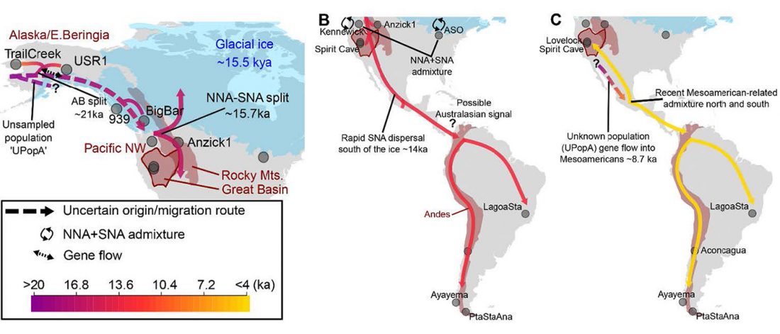 human-divergence-americas