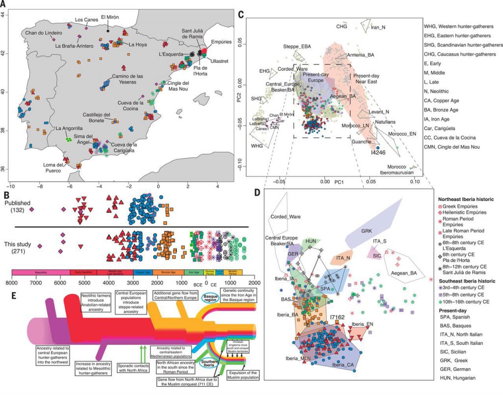 Iberia East Bell Beakers Spread Indo European Languages Celts   Iberian Adna 1024x806 