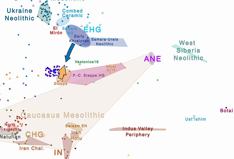 pca-steppe-eneolithic-early