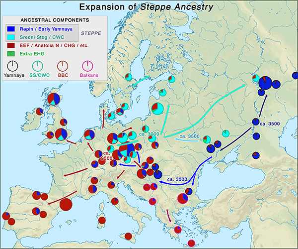 steppe-ancestry-corded-ware