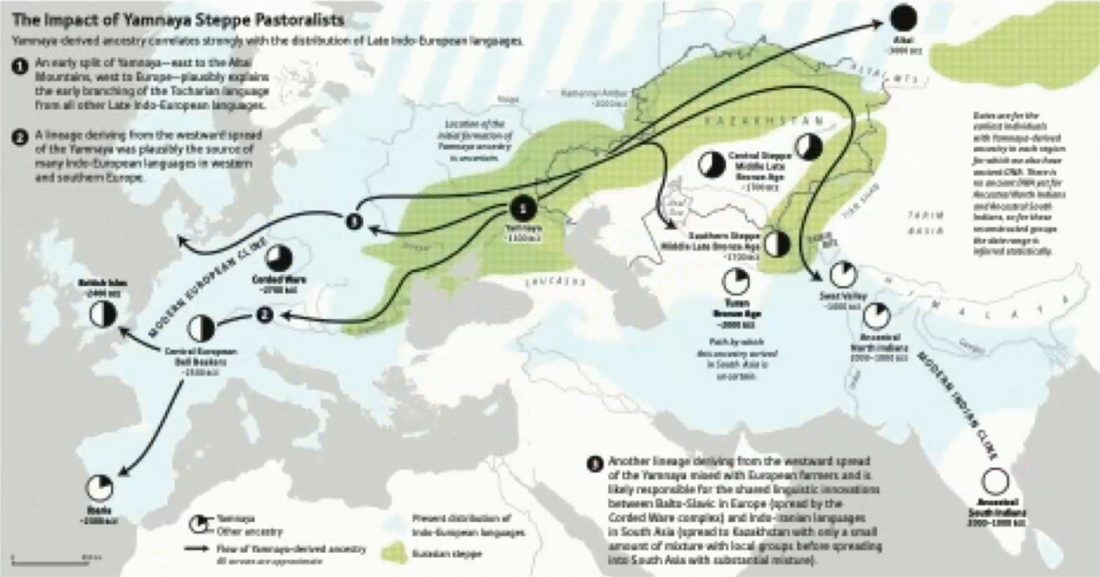 steppe-ancestry-eurasia-1100x577.jpg