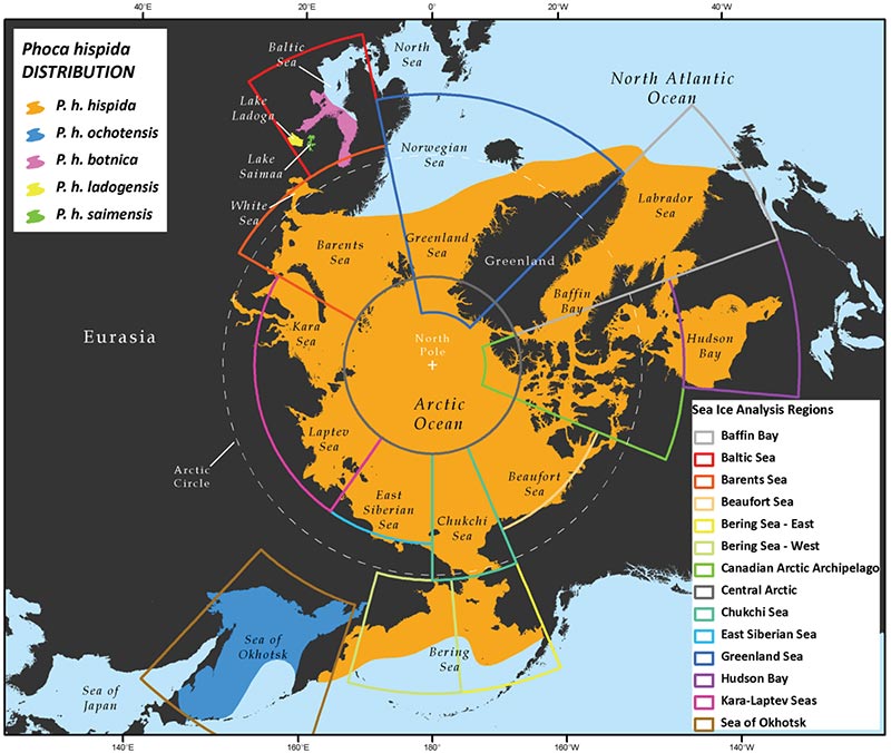 sea-distribution-arctic