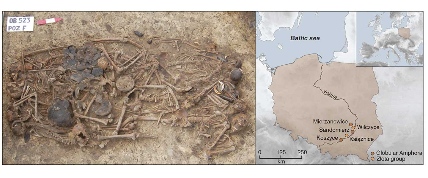 Złota a GAC-CWC transitional group...but not the origin of Corded Ware peoples