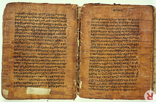 birch-bark-manuscript-panini-grammar-treatise
