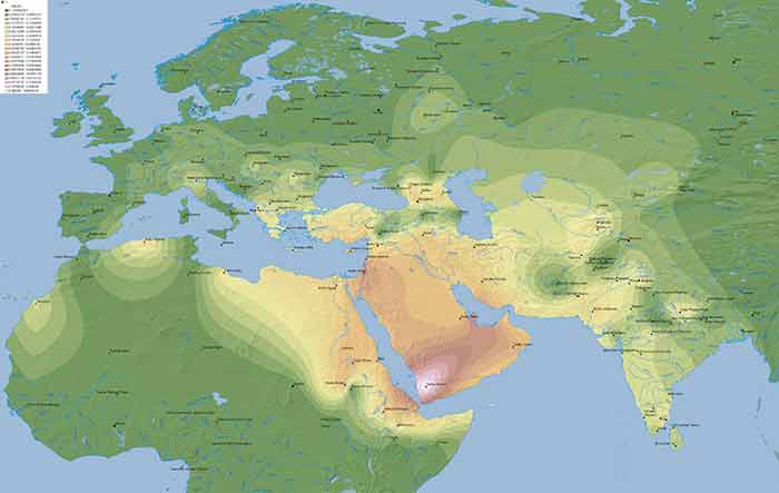 haplogroup-j-m304