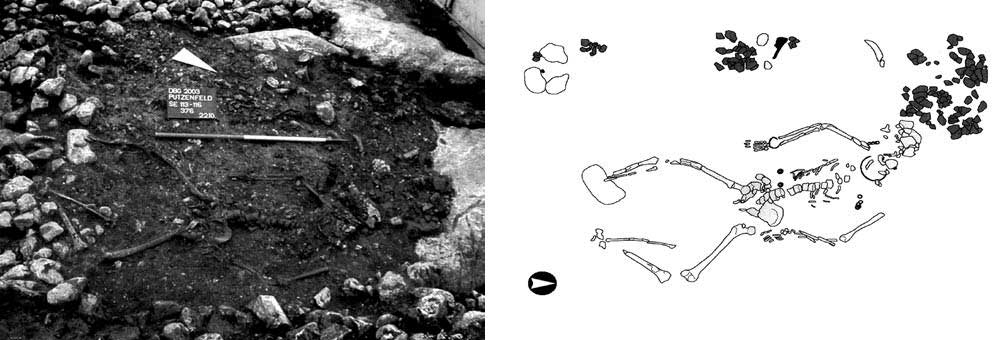 kelten-dna-putzenfeld-duerrnberg-grab-376.jpg