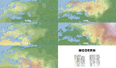 14-modern-admixture