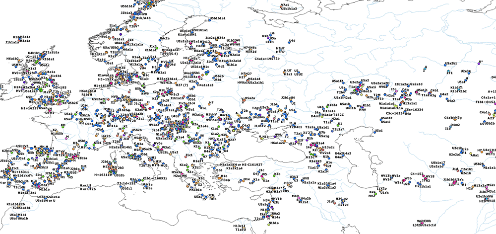 mtdna-haplogroups