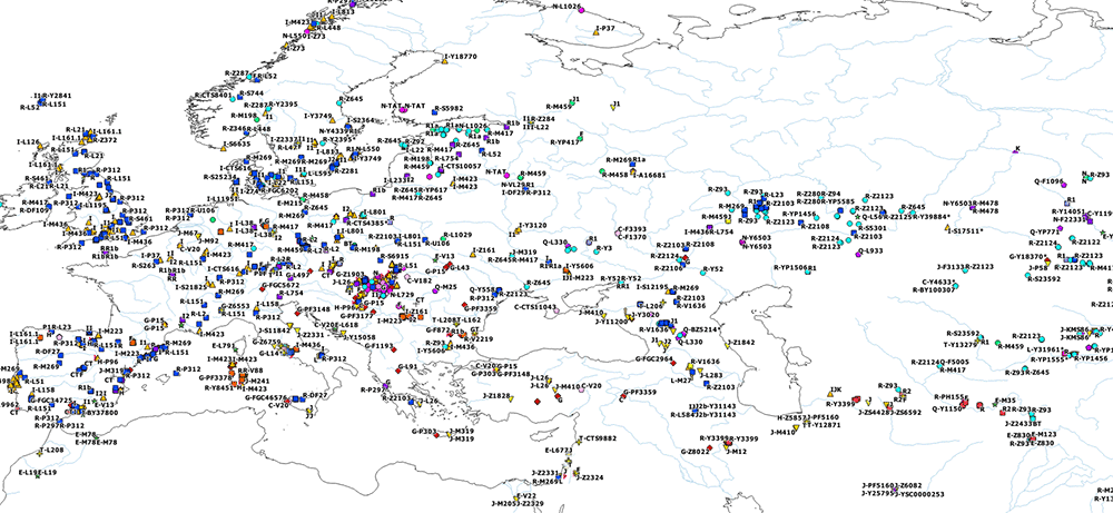 y-dna-haplogroups