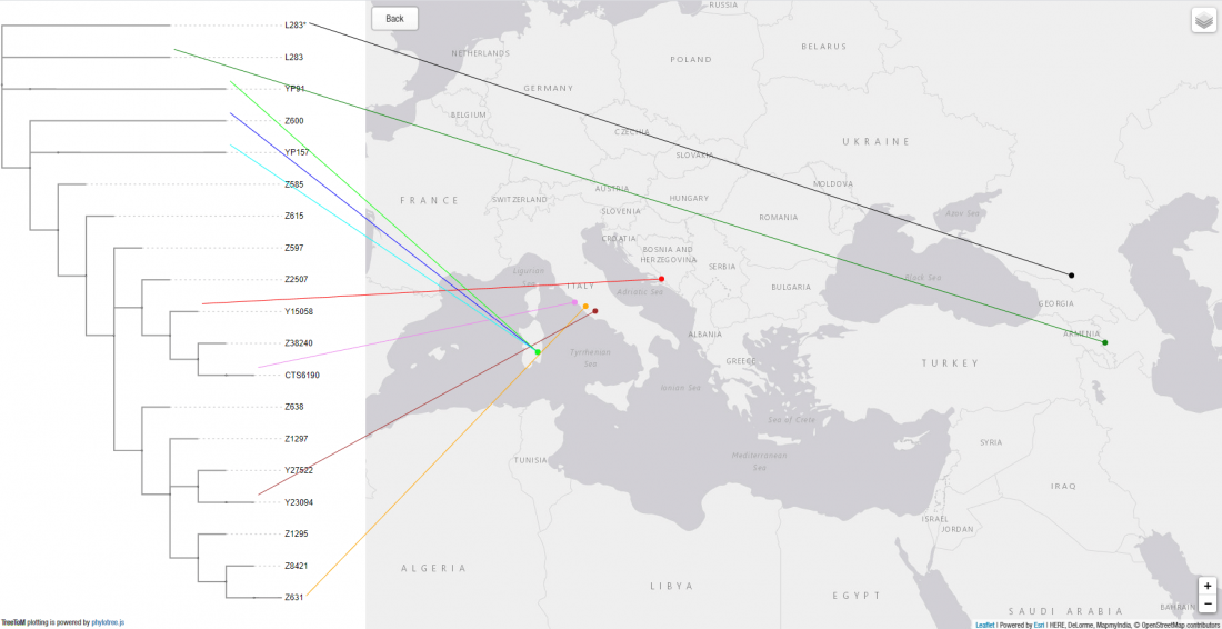 Visualizing phylogenetic trees of ancient DNA in a map | Indo-European.eu