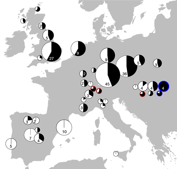 bell-beaker-qpadm-steppe-ancestry