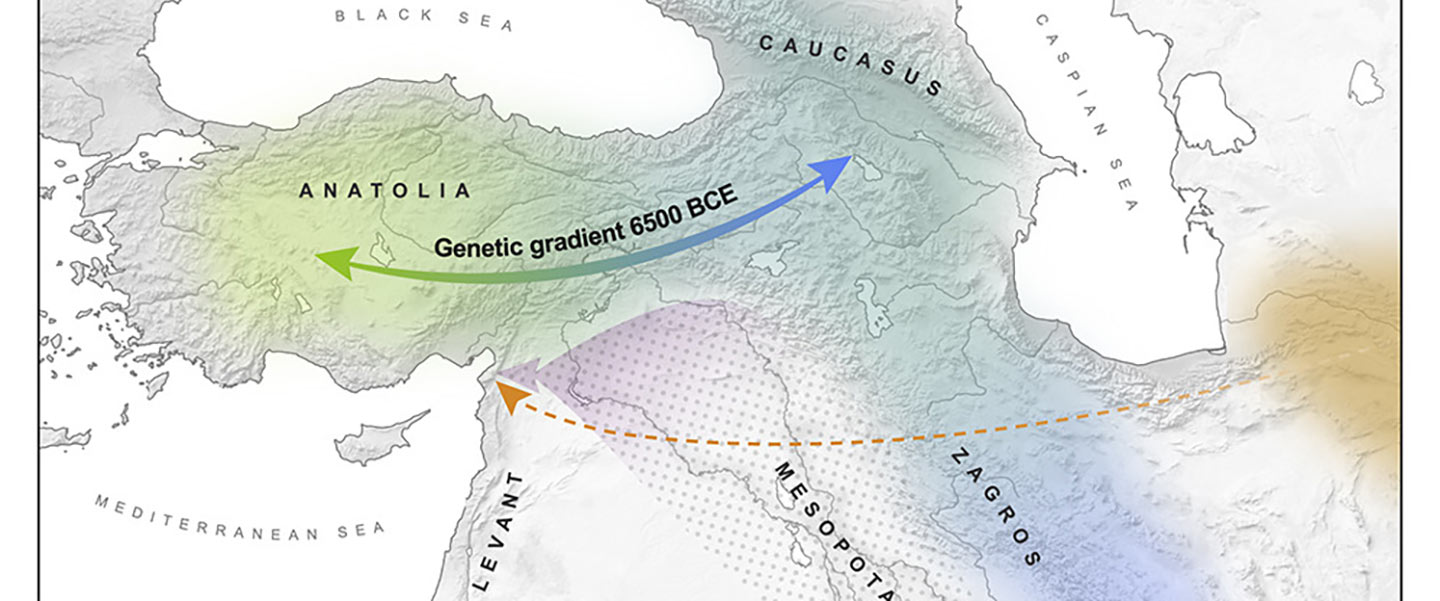 Demographically complex Near East hints at Anatolian and Indo-Aryan arrival