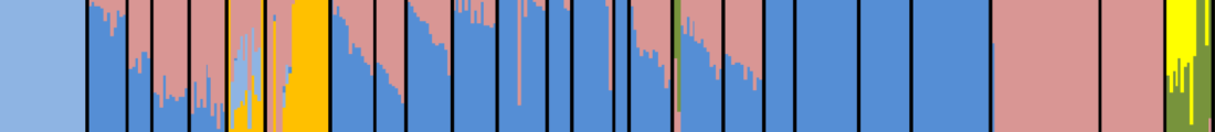 west-eurasian-admixture