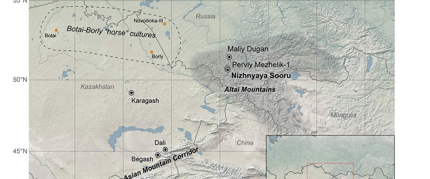 Afanasievo brought domesticated bovids to the Altai; new Tianshanbeilu ...