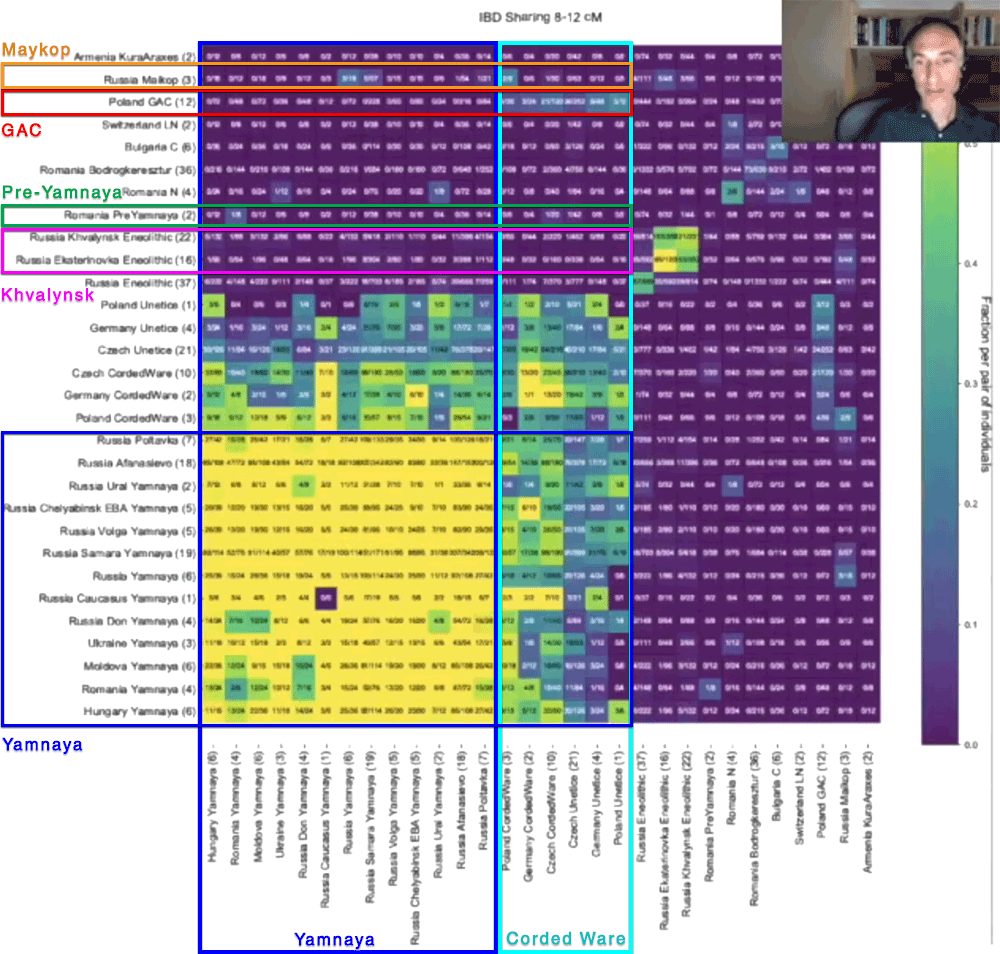 identity-by-descent-ringbauer-yamnaya-corded-ware.png