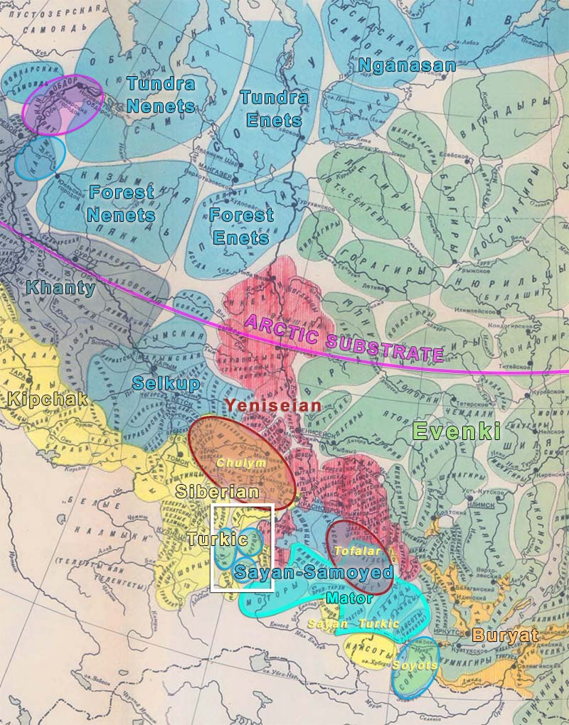 1600年のツァーリ時代のヤサク（毛皮税徴収資料）をもとにしたシベリアの民族言語地図。青がサモエド語、赤がイェニシヤ語、黄がトルコ語、紺がハンティ語、緑がツングース語、橙がモンゴル語。シアン色の○で実線を囲んだ地域。マトール語圏(Helimski 1997)。青で囲んだ○：文化化されたサモエド人（最近トルコ化した）。赤の○：文化化したイエニセア人チュリムとトファラール（最初にサモエド語、後にトルコ語に移行、あるいは直接トルコ語に移行）。ピンクの線。ピンクの線：サモエド語北部方言に存在する、古北極圏言語に起源をもつ第二土着語層（下図参照）のおおよその南限。白い長方形内：ミヌシンスク盆地のおおよその位置。地図全体を見る。画像はRedditから改変（オリジナルの地図はDolgix'より）。